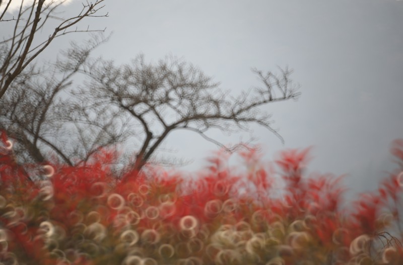 시선