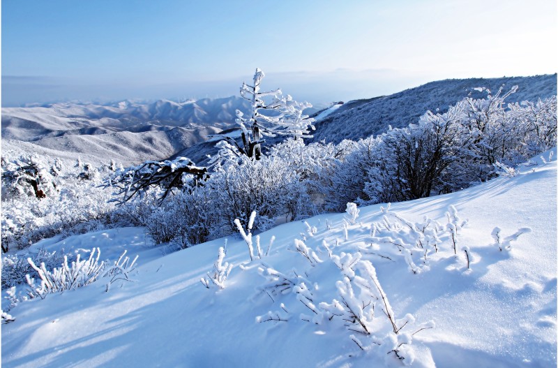 함백산 설경