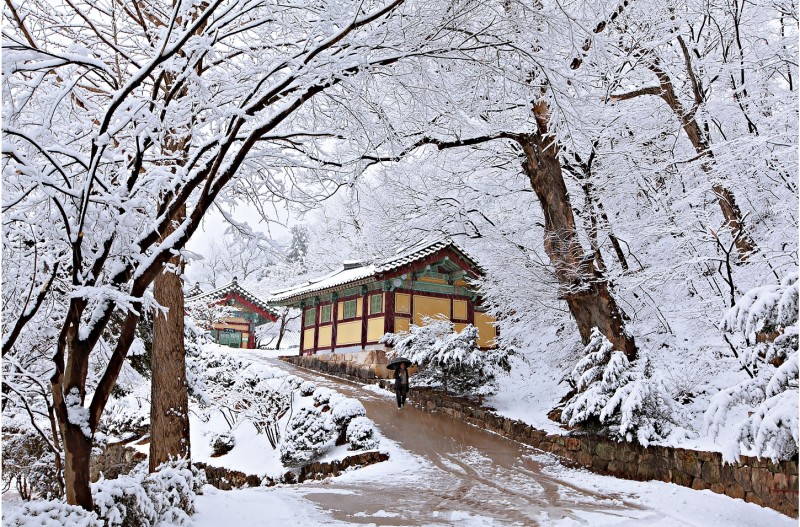 부석사 설경