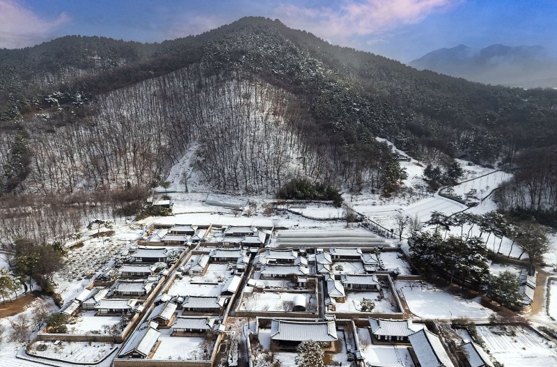 春雪