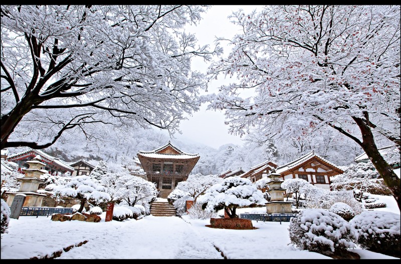 부석사 설경