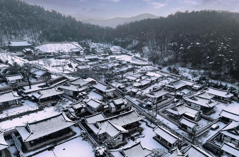 春雪