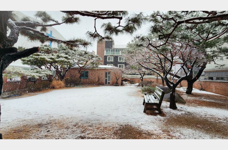 춘설