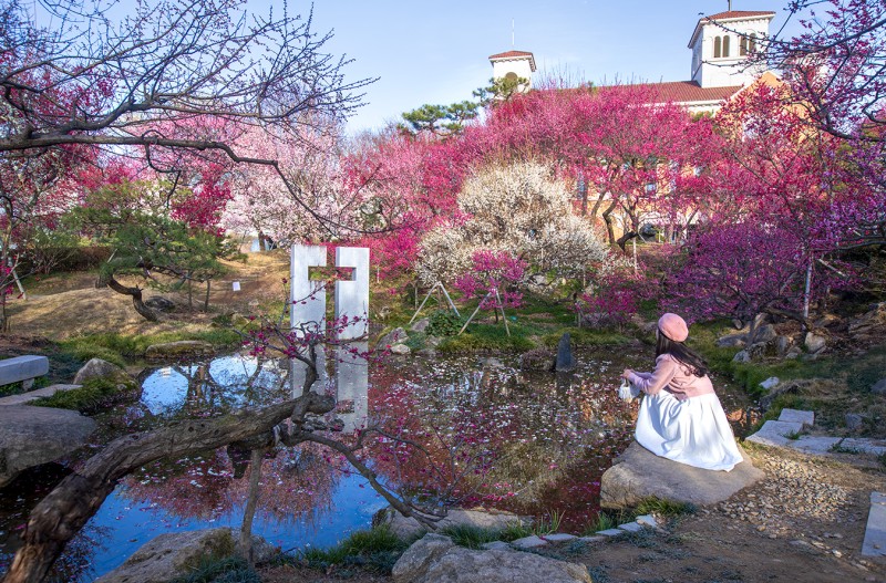 순천 복음교회