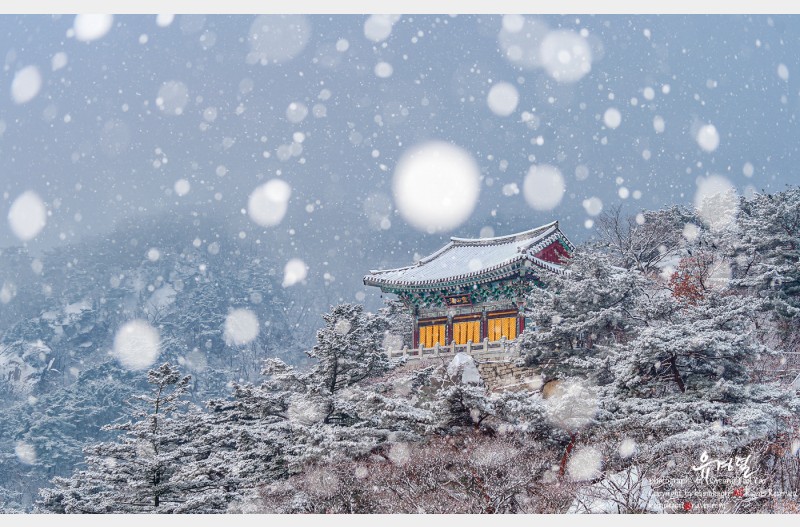 산사의 겨울아침