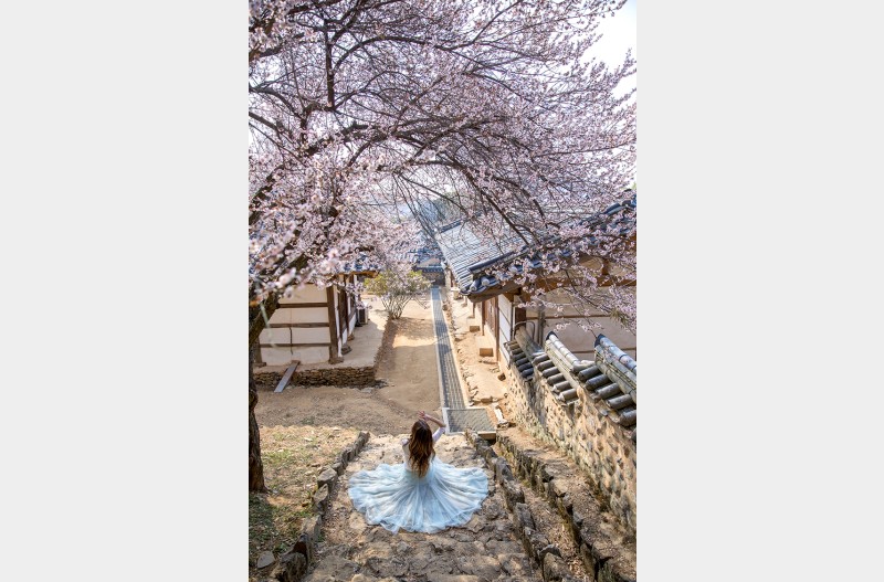다시 찾은 밀양 향교