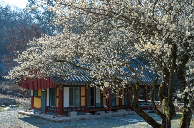 기산매