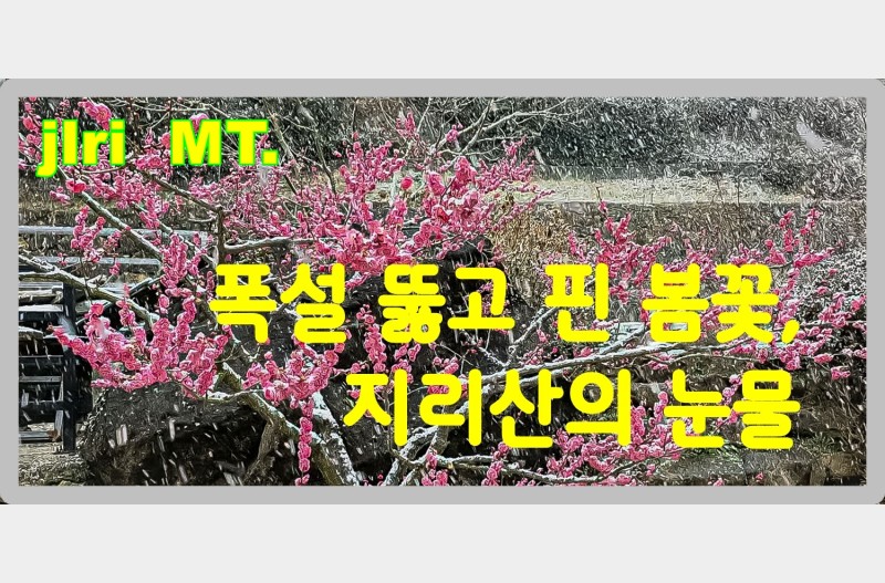 수도권에 계시는 분들 지리산 기운 받아 가십시오