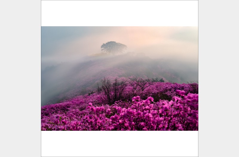 영취산