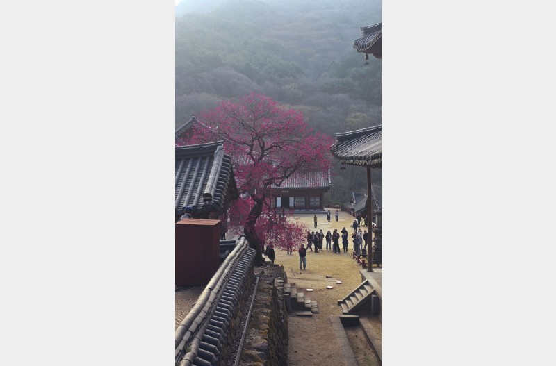 화엄사