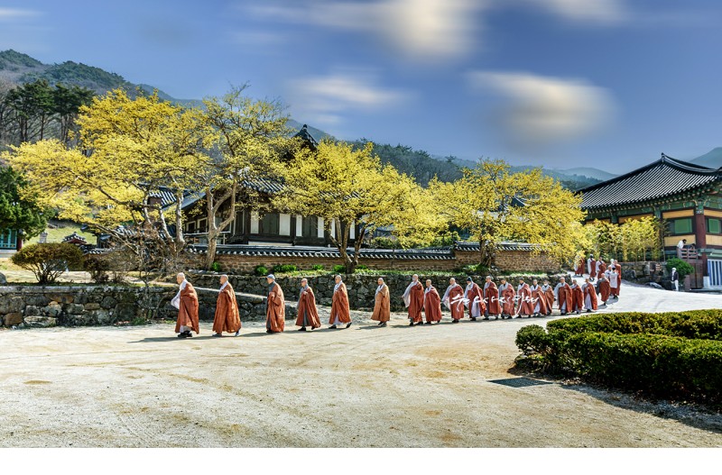 수행의 발걸음