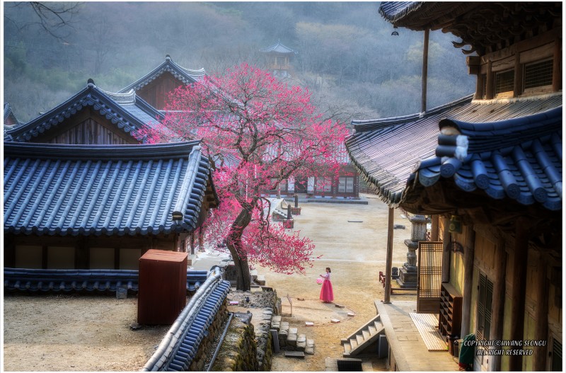 화엄사
