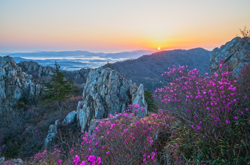 주작산