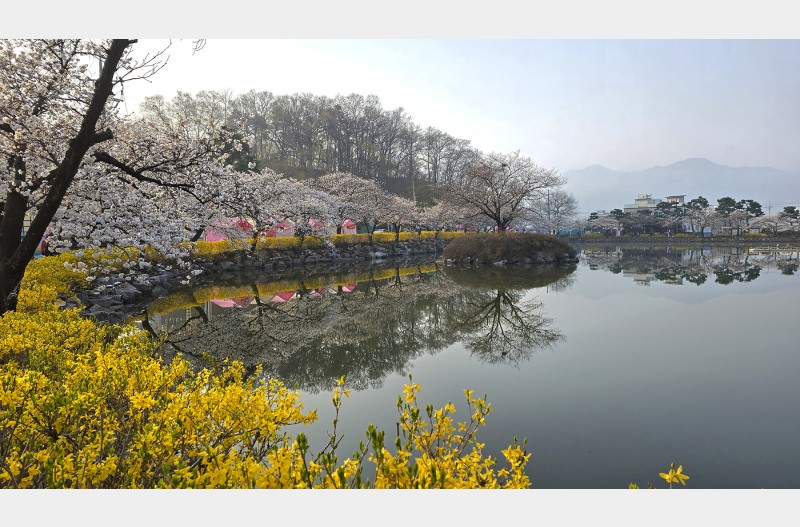 연화지