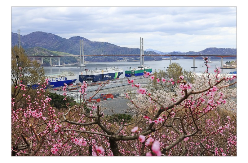마산항의 봄