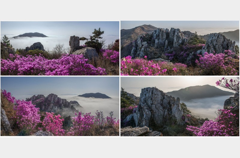 달려보세유