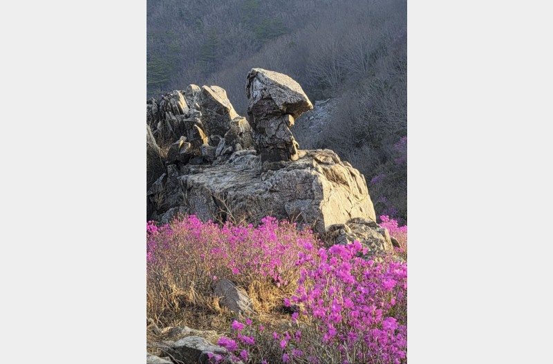 덕룡산