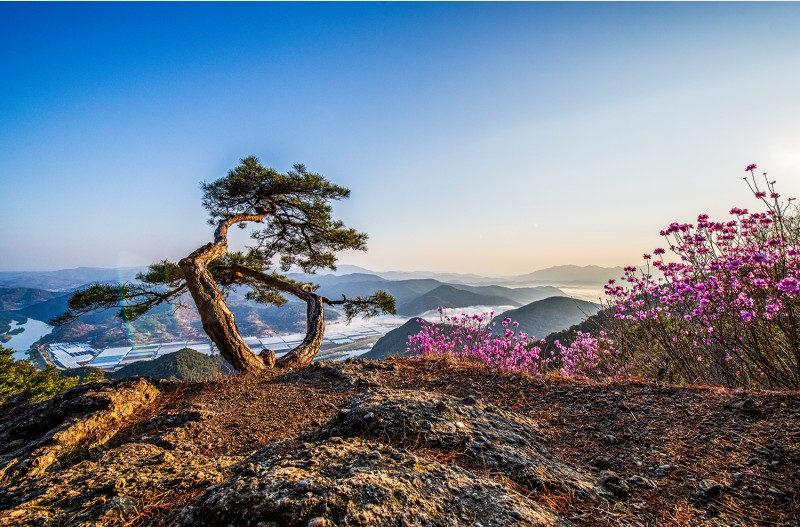 월아산