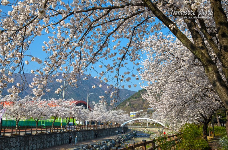 동네 산책