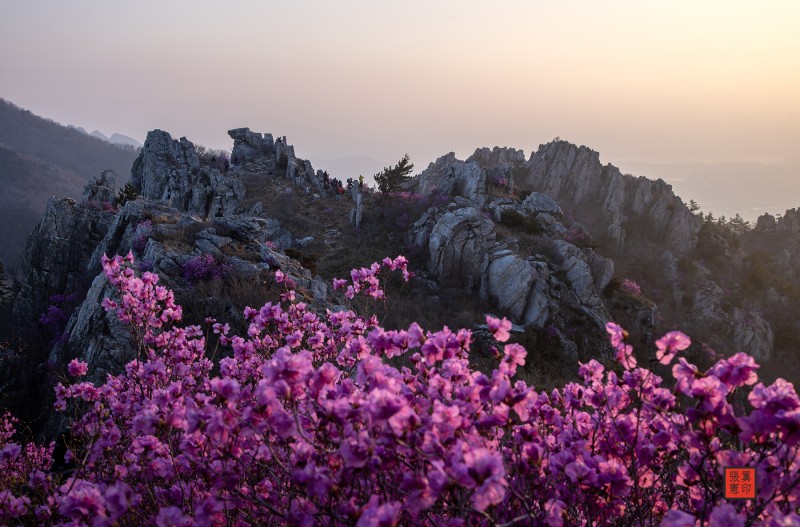 주작산