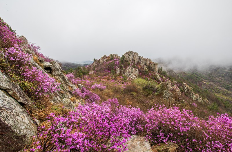 주작산