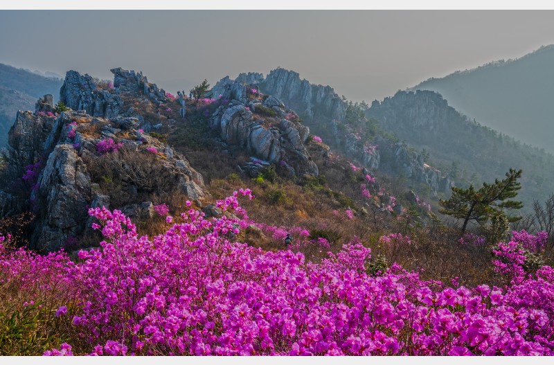 주작산