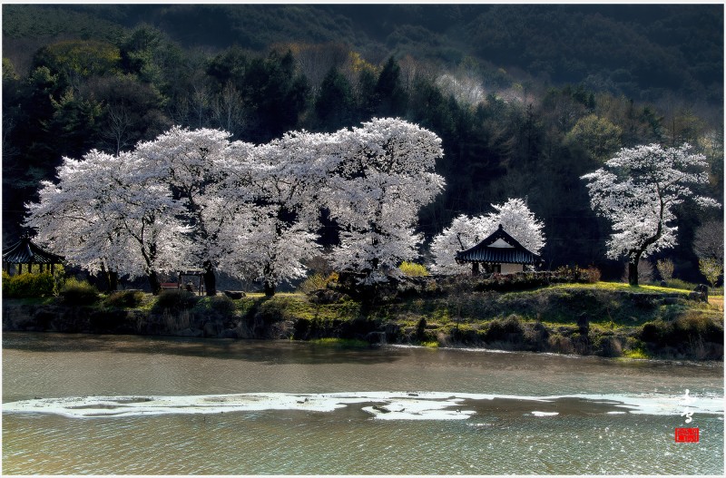 병연정