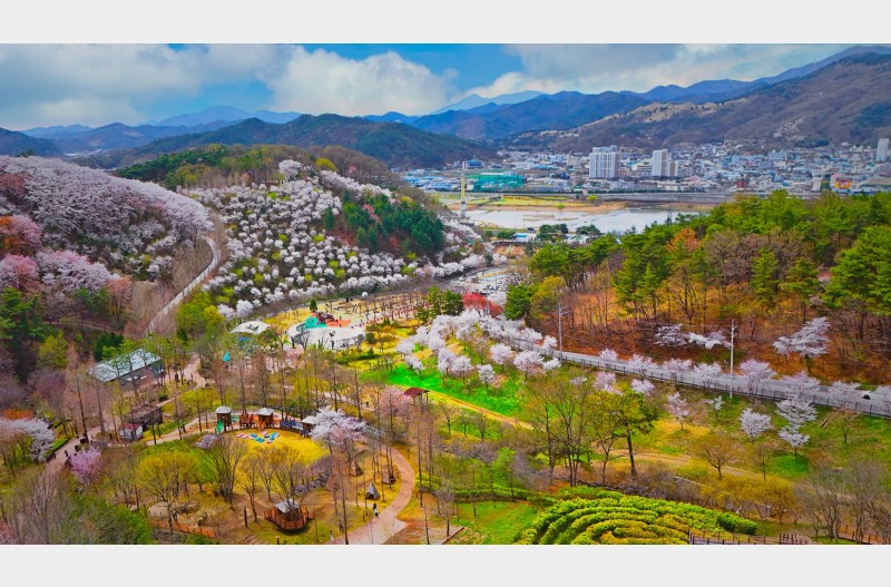수목원