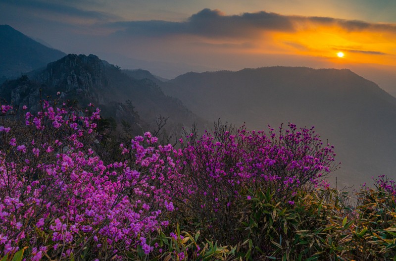 주작산
