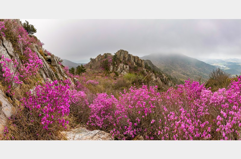 주작산오후풍경