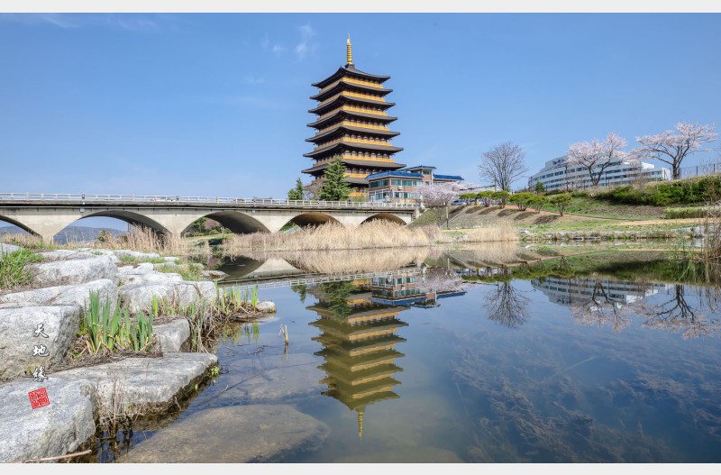 경주의봄