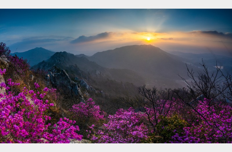 남도의 봄