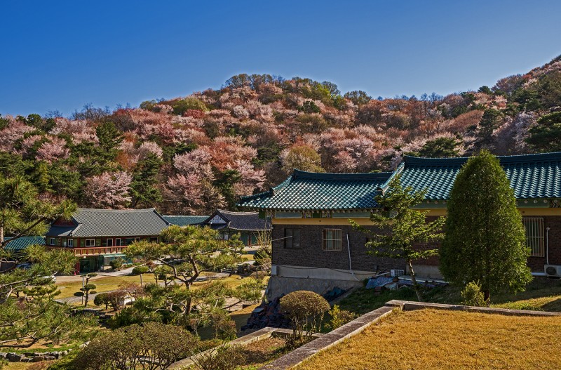 전주정헤사