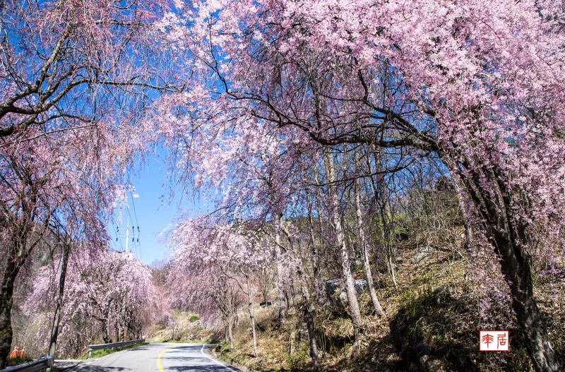 월성계곡