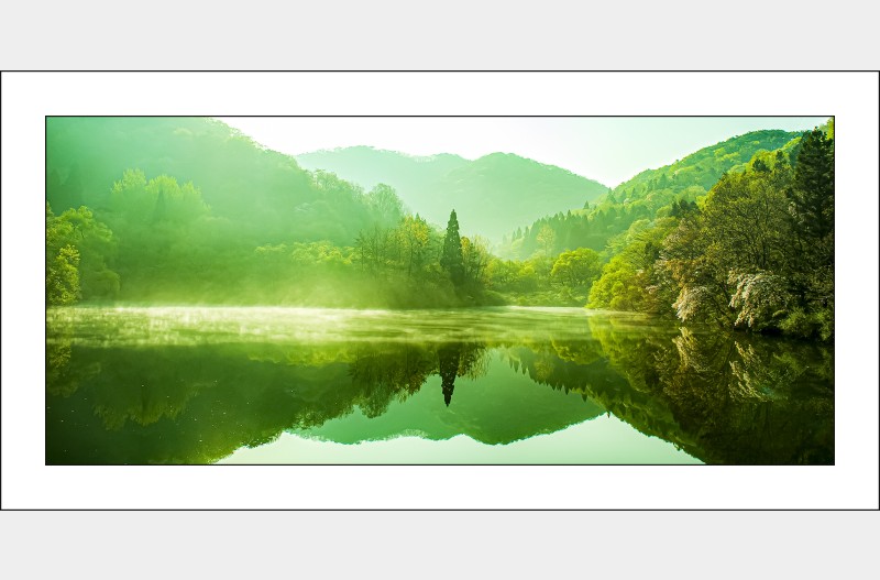 세량지의  봄..