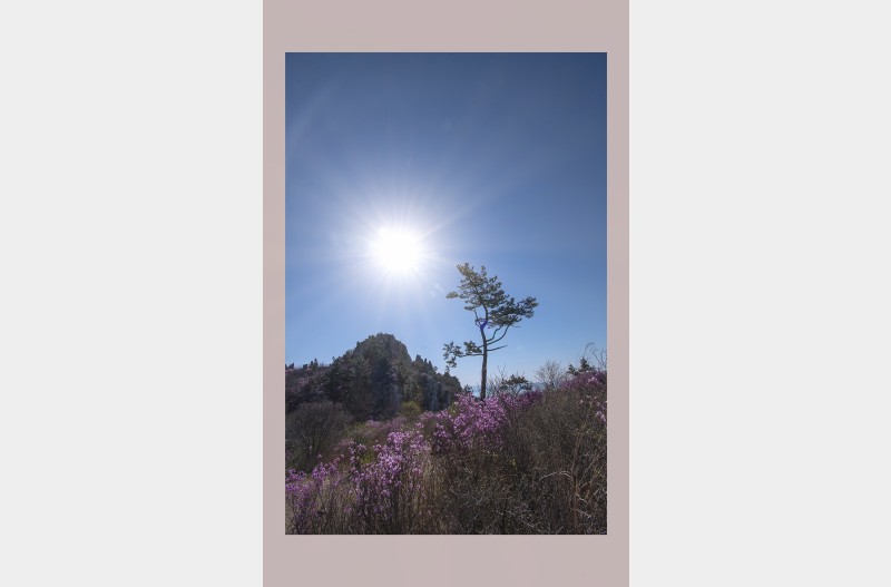 솔