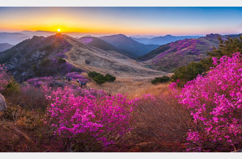 화왕산 파노라마