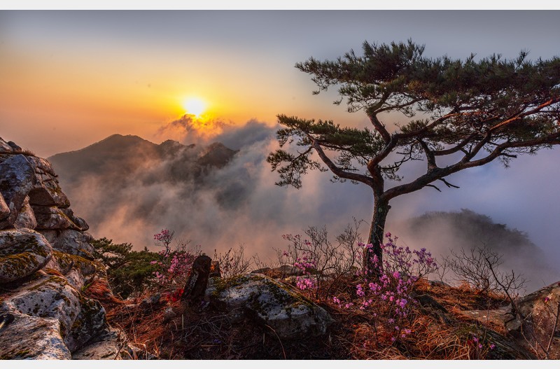 대둔산