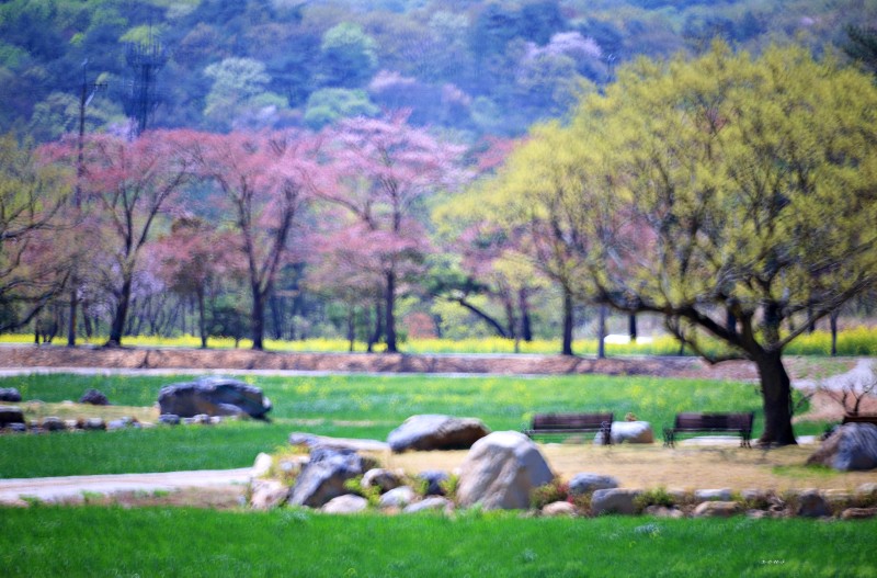 봄날