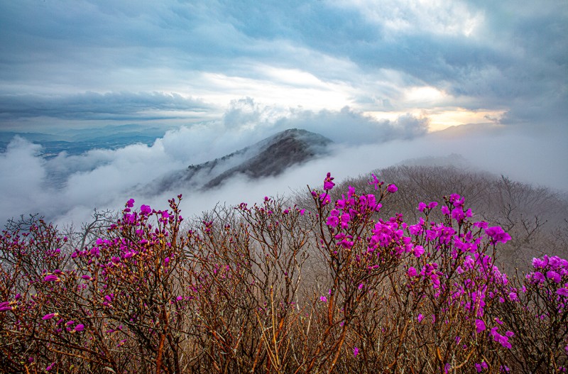 지리산