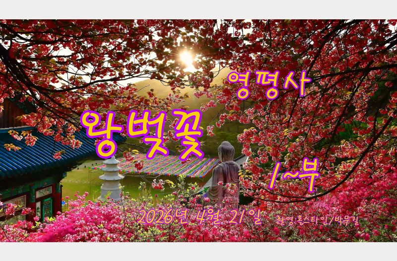 영평사왕벚꽃-1부