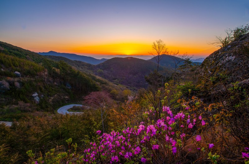 봄 이 오면