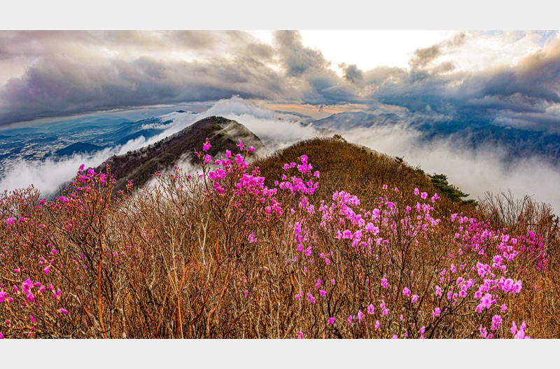 지리산
